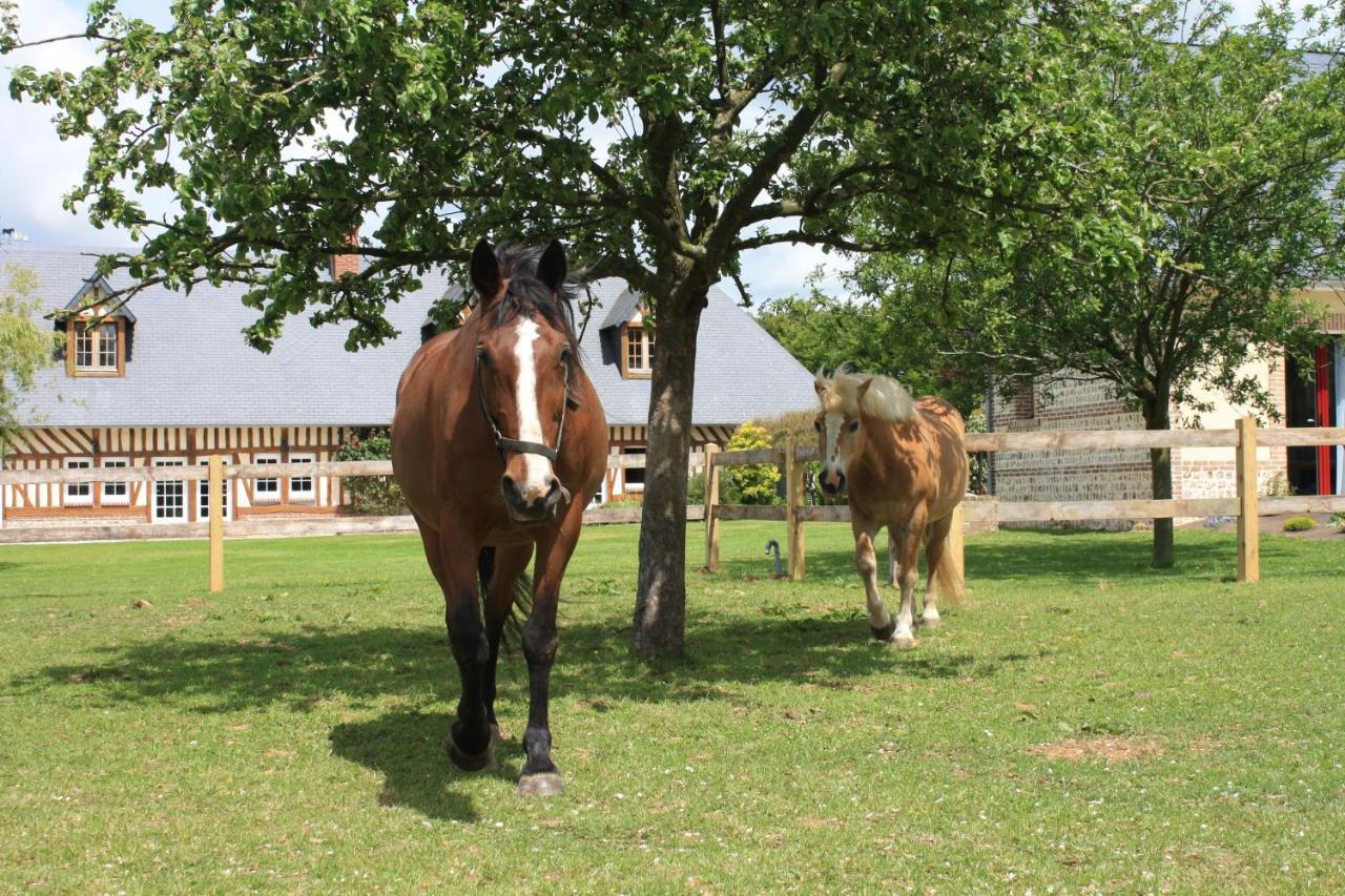 Le Clos Marie Sausseuzemare-en-Caux Exteriér fotografie