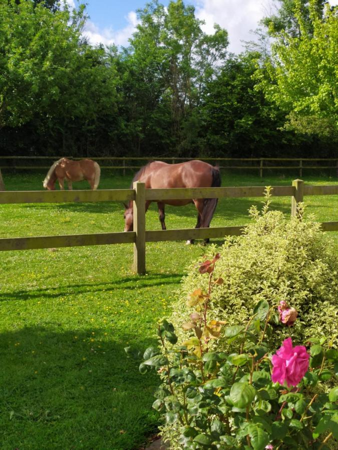Le Clos Marie Sausseuzemare-en-Caux Exteriér fotografie