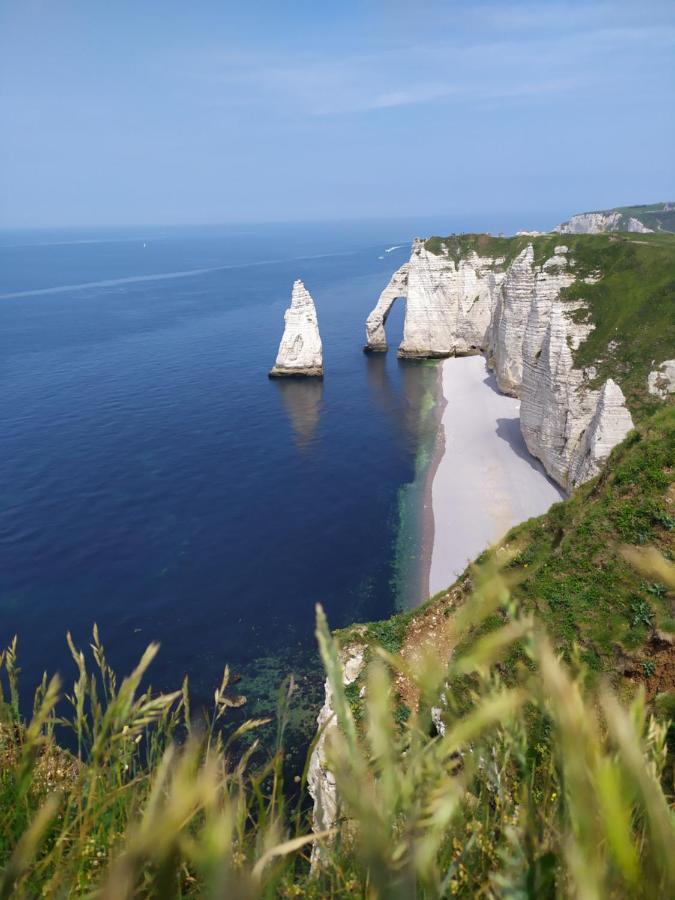 Le Clos Marie Sausseuzemare-en-Caux Exteriér fotografie
